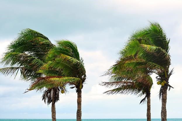 What to Know Before Filing a Hurricane Property Damage Claim