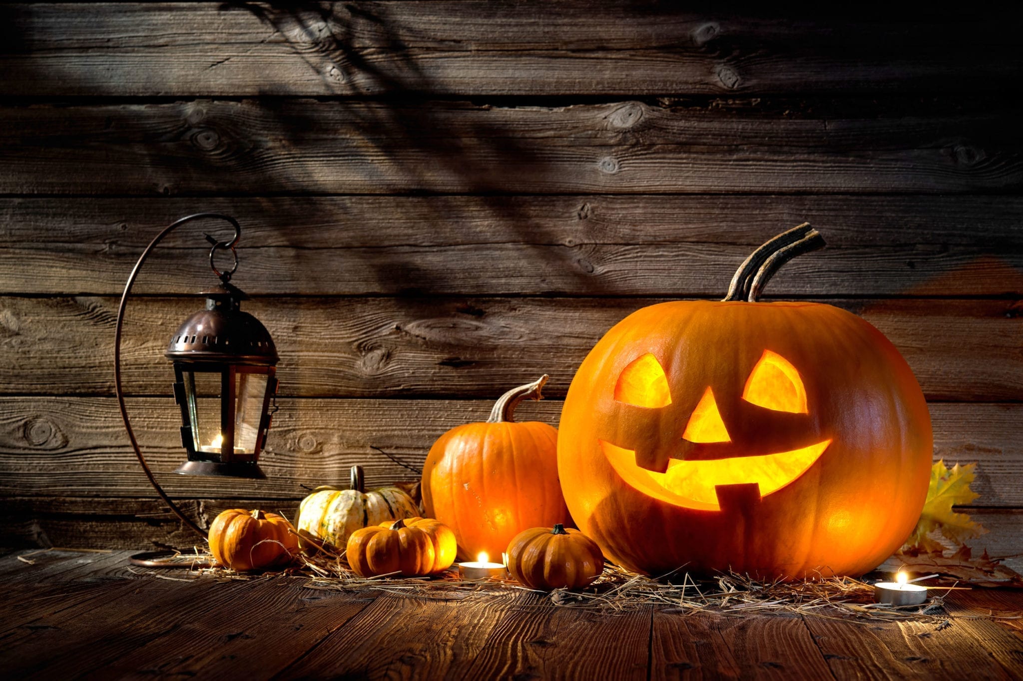 Beyond Razorblades: Why Halloween Is a Scary Holiday for Florida Kids