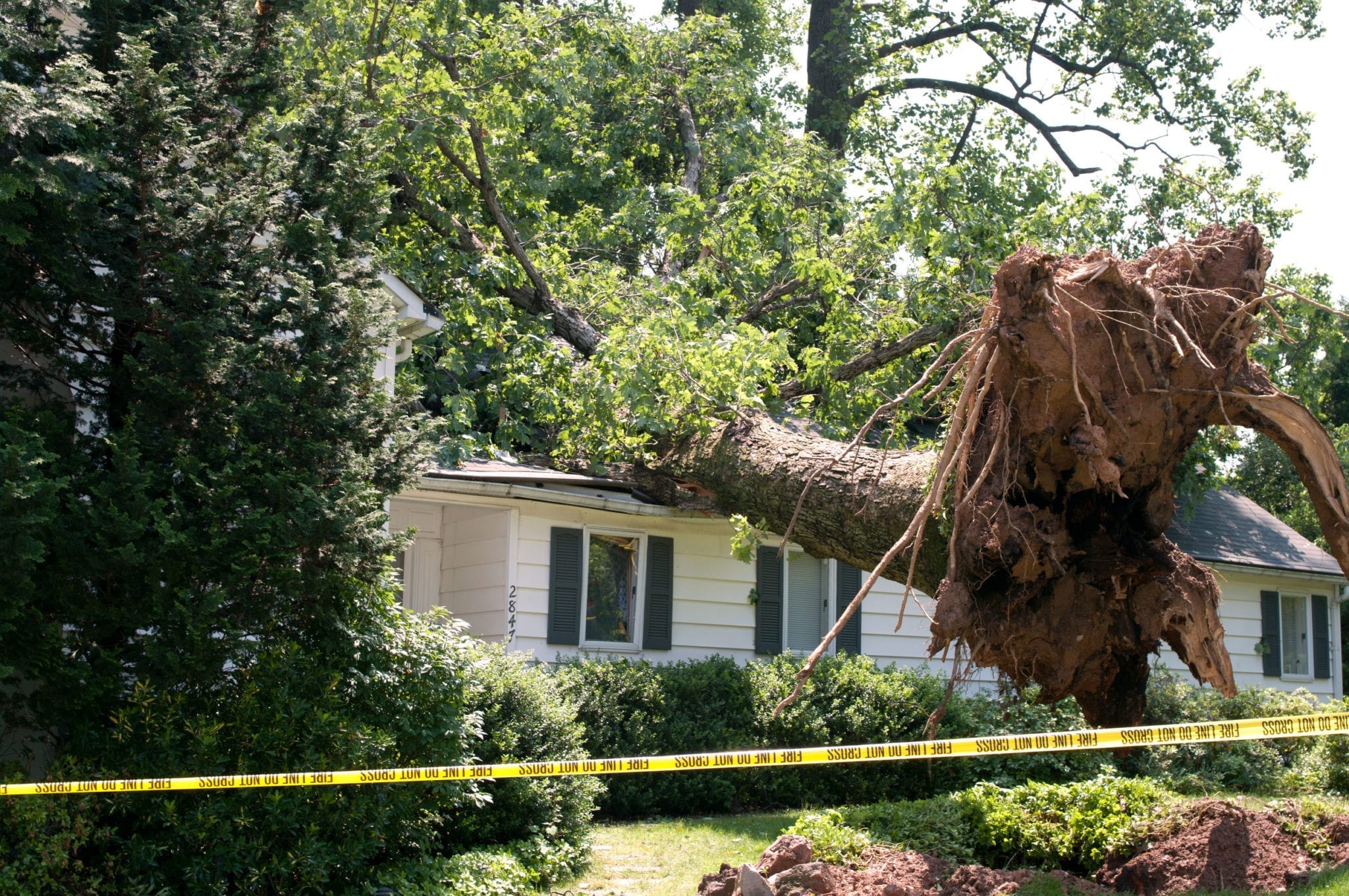 The Most Common Types of Property Damage Floridians Should Watch For