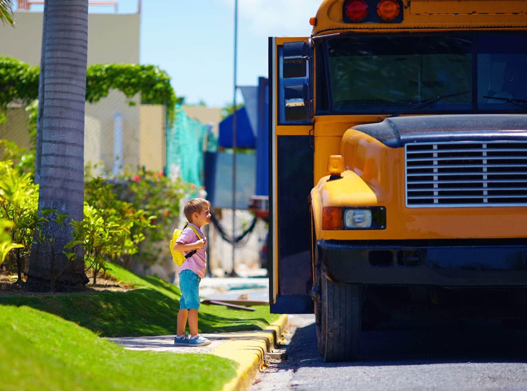 Exactly How Safe Are School Buses in Florida?