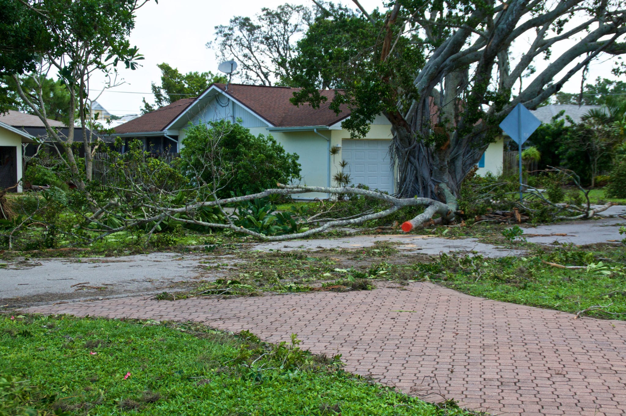 Is the Cause of My FL Property Damage Considered an Insured Event?
