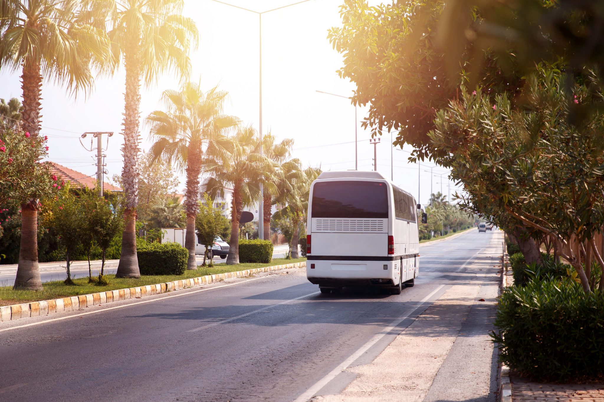 Tour Bus Injuries: Claiming Compensation for Injuries