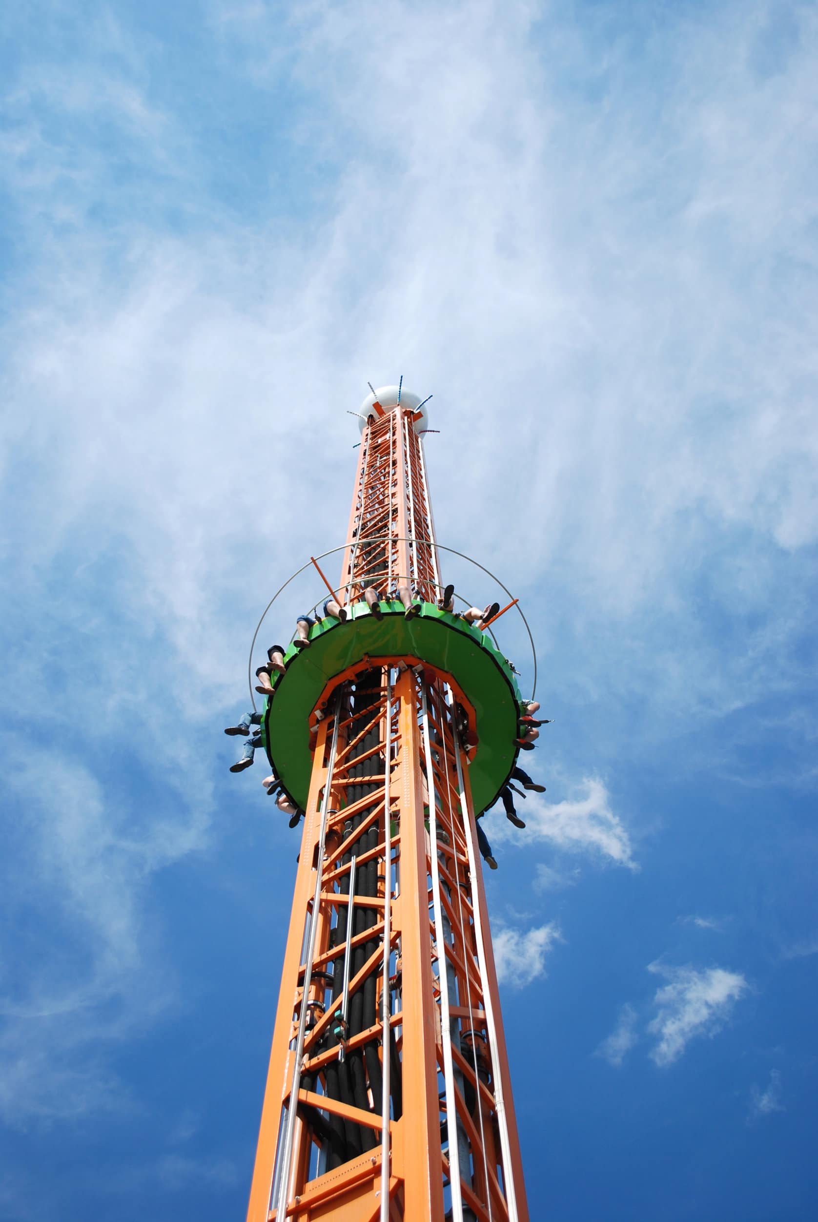The Causes of Florida Theme Park Accidents